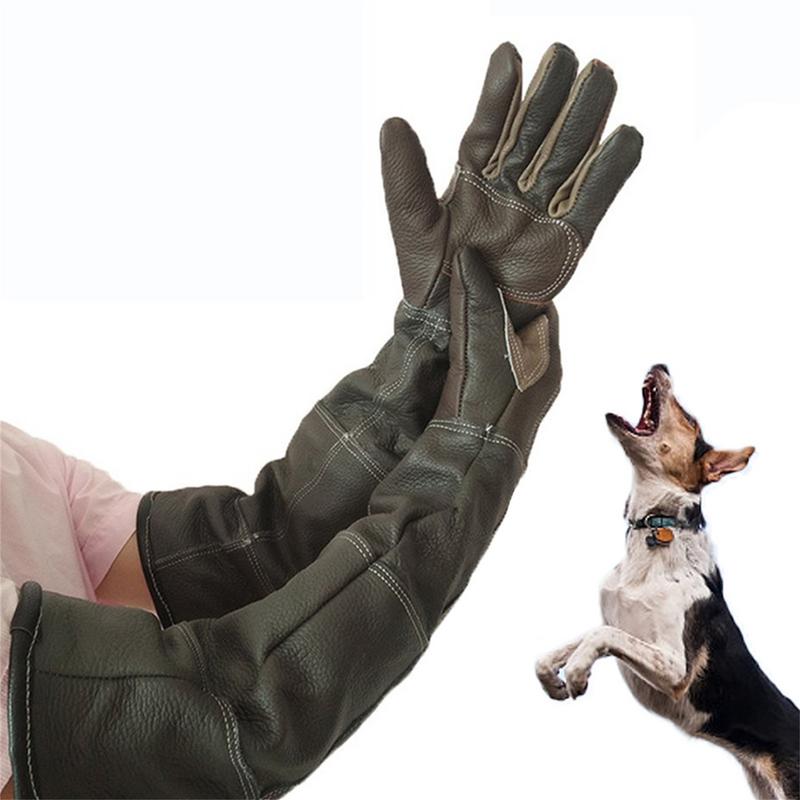 Gardening Tools Gloves - 애완 동물 장갑 쇠가죽 채찍으로 치다