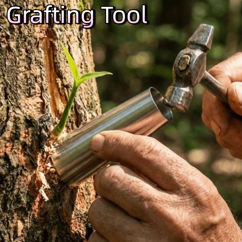 Bonsai Tool Set - 5개 스테인리스 스틸 꽃봉오리 접목 도구