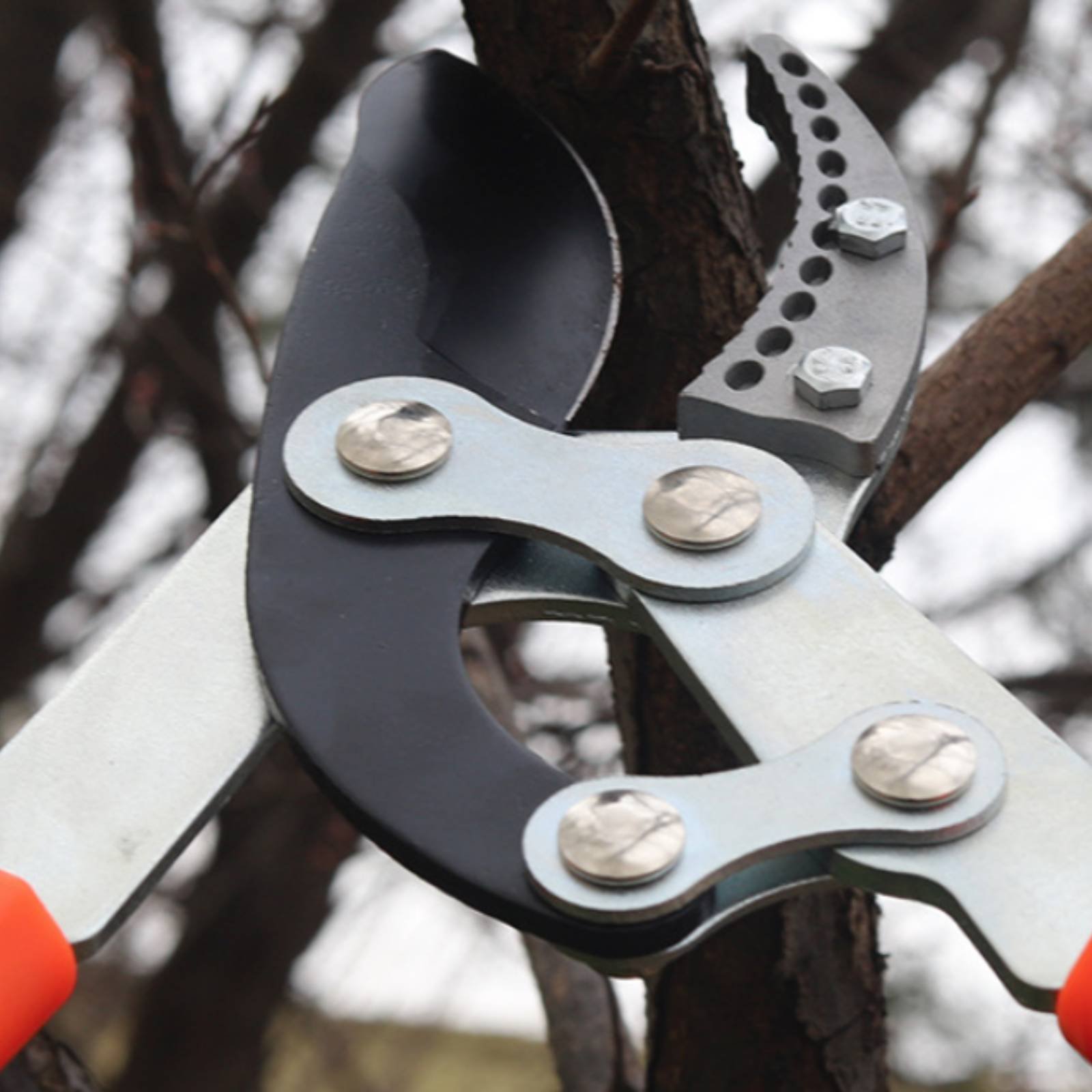 Gardening Tool - 텔레스코픽 가지치기 가위 날카로운 칼날 튼튼한