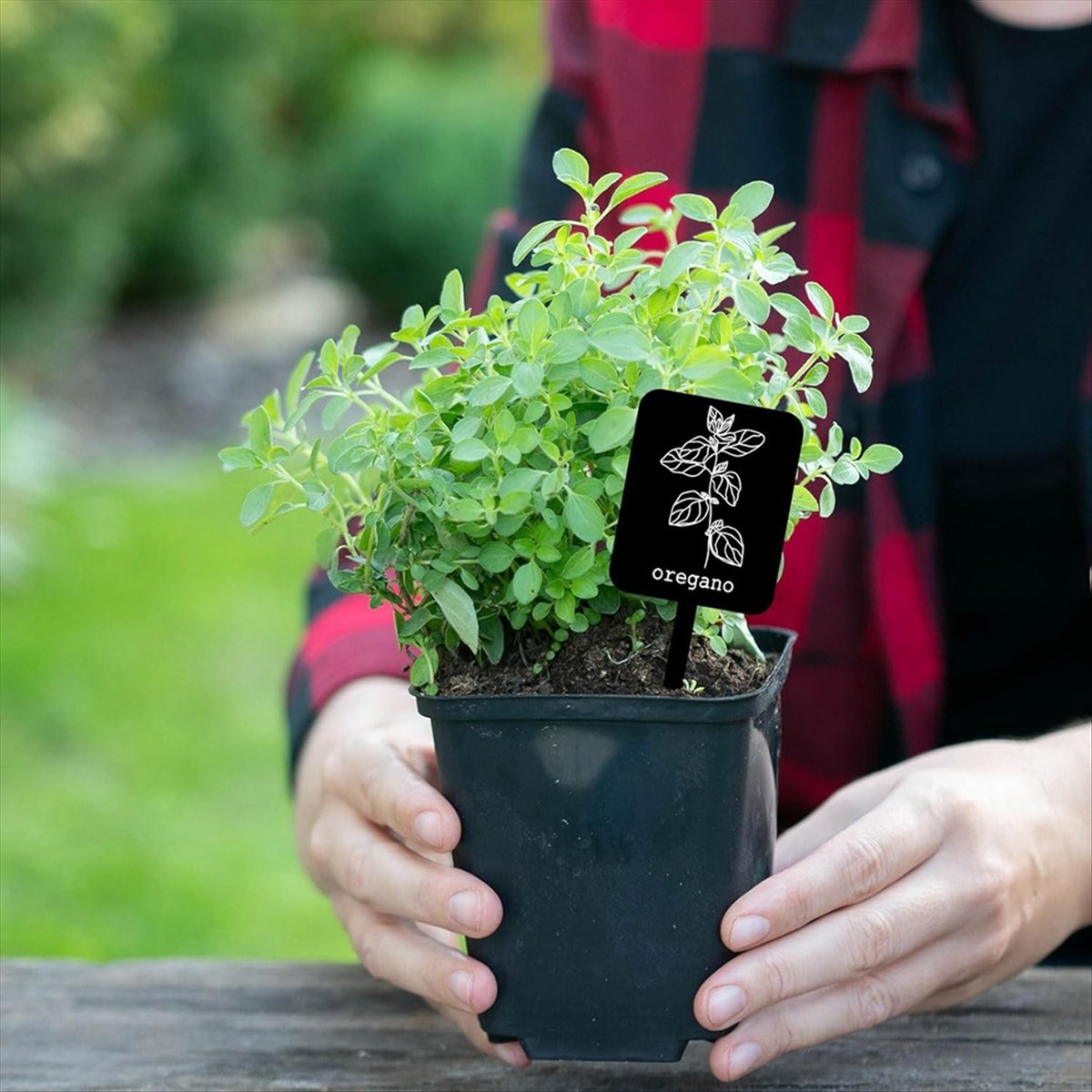 Gardening Tools With Names - AA14 24개 아크릴 식물 라벨 표지판