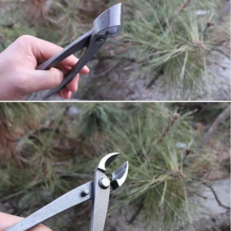 분재 손잡이 커터 오목형 엣지 커터 210mm 뿌리 절 - Bonsai Tool Set 리뷰 및 가격