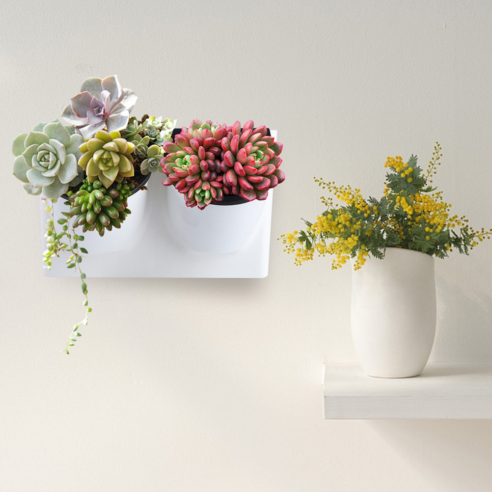 자가 급수 화분 플라스틱 바이올렛 화분 장식용 실내외  - Self-Watering Planter 리뷰 및 가격