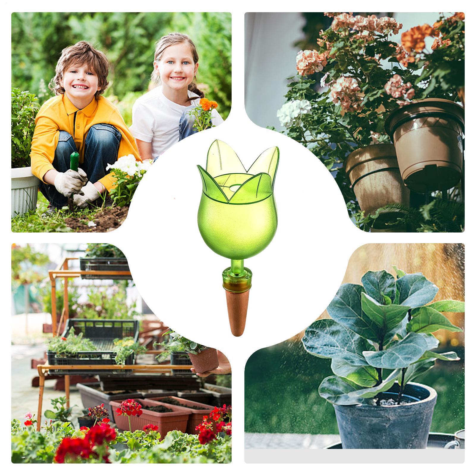 식물 자동 급수 장치, 식물 물방울 관개 제어 시스템, - Self-Watering Planter 리뷰 및 가격