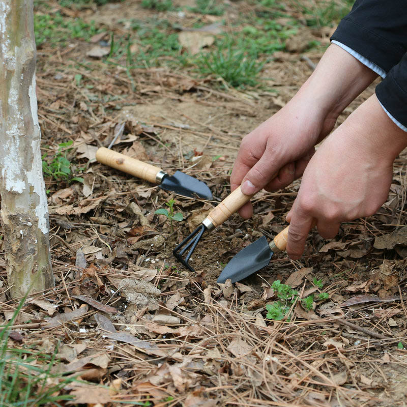 3 개/대 정원 식물을위한 미니 정원 도구 세트 꽃 냄 - Gardening Tools For Weeds 리뷰 및 가격