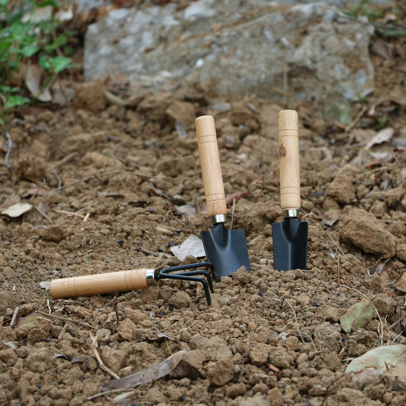 3 개/대 정원 식물을위한 미니 정원 도구 세트 꽃 냄 - Gardening Tools For Weeds 리뷰 및 가격