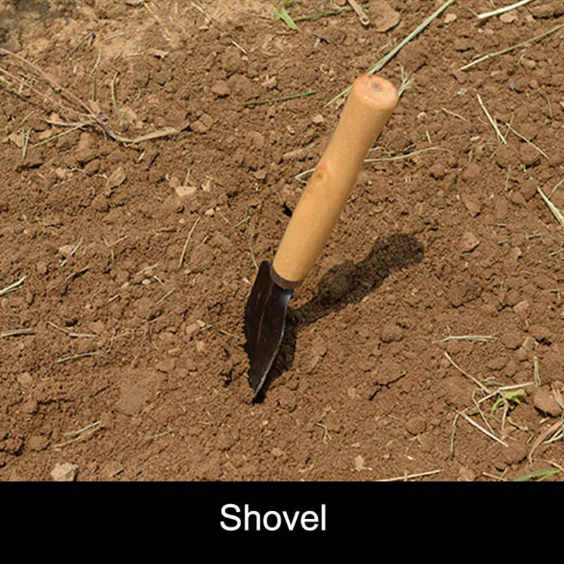 3 개/대 정원 식물을위한 미니 정원 도구 세트 꽃 냄 - Gardening Tools For Weeds 리뷰 및 가격