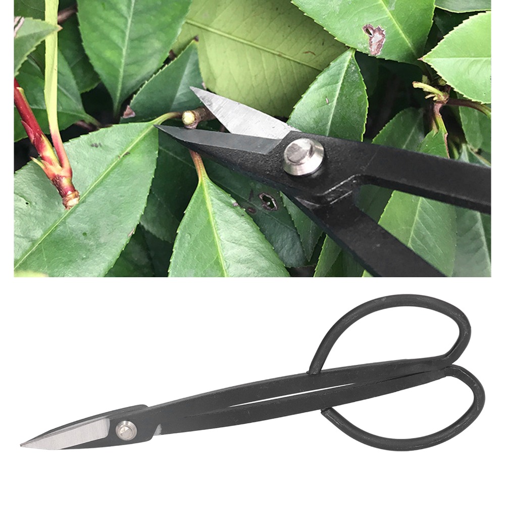 스테인레스 스틸 분재 가위 나비 손잡이 검정색 식물 가 - Bonsai Tool Set 리뷰 및 가격
