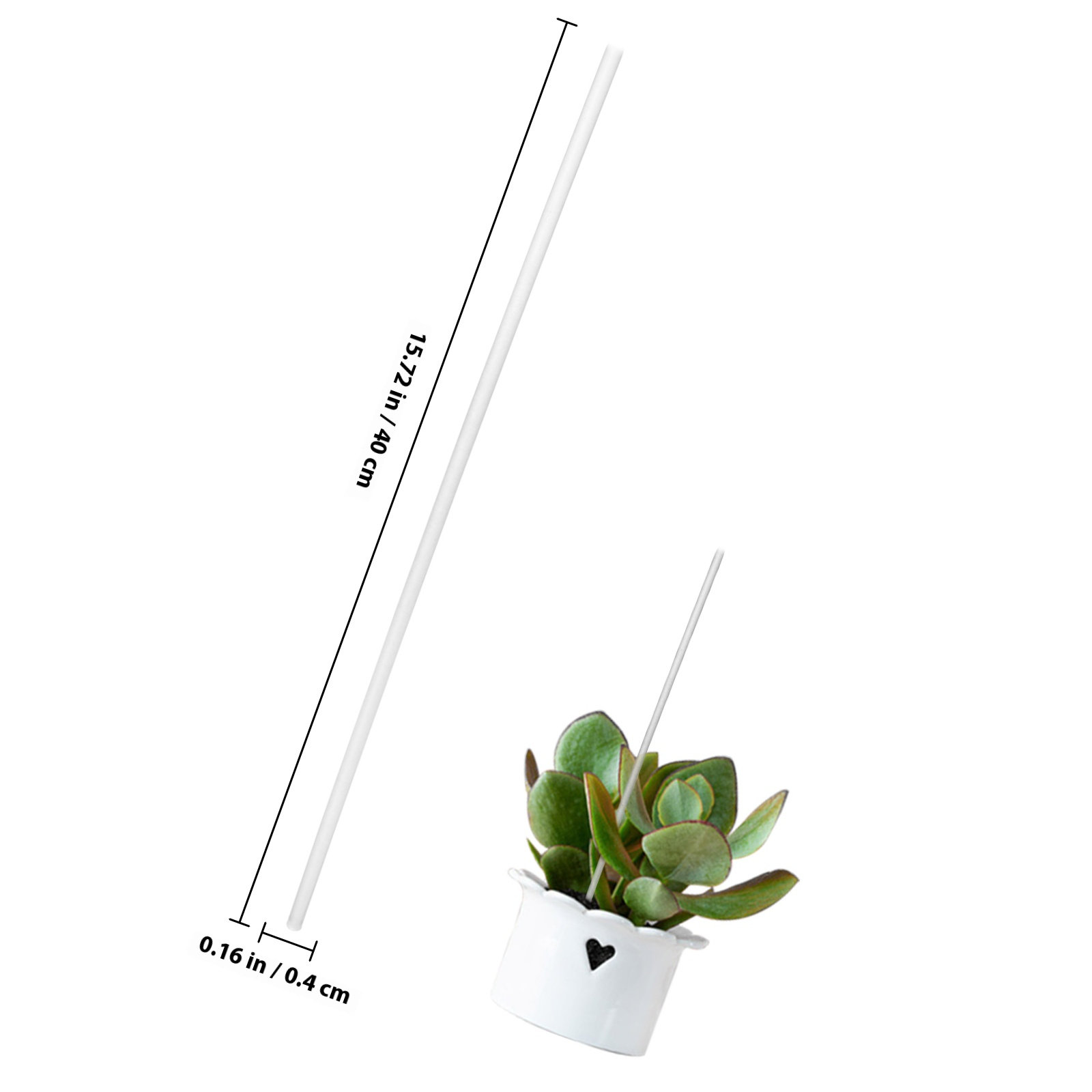 1세트 투명 아크릴 식물 지지대 세트 덩굴식물 장미 난 - Gardening Tools Required 리뷰 및 가격
