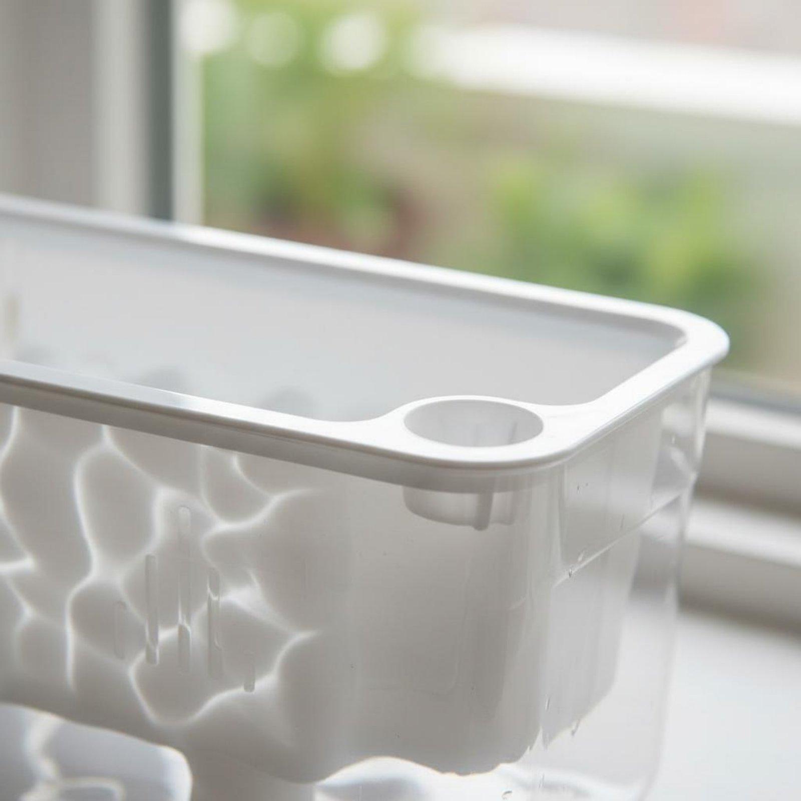 자가 급수 화분 직사각형 투명 화분 통기성 있는 바닥  - Self-Watering Planter 리뷰 및 가격