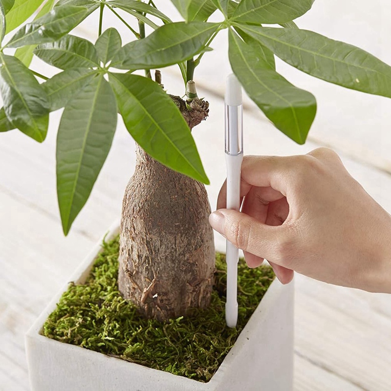 아쿠아미터, 5개, 식물 토양 수분 센서, 실내 화분용 - Moisture Meter Plant 리뷰 및 가격