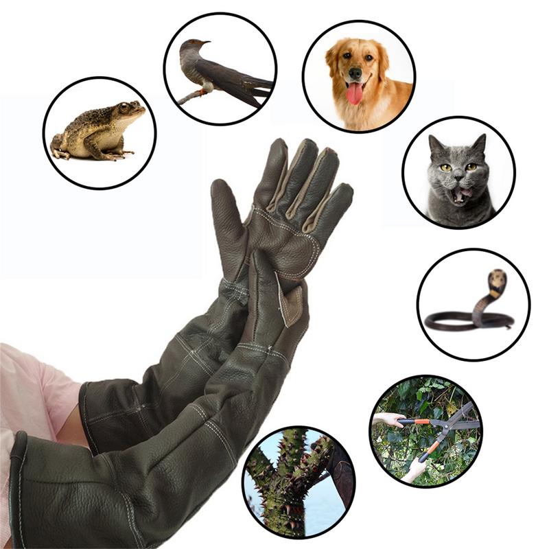 애완 동물 장갑 쇠가죽 채찍으로 치다 가죽 Anti-g - Gardening Tools Gloves 리뷰 및 가격