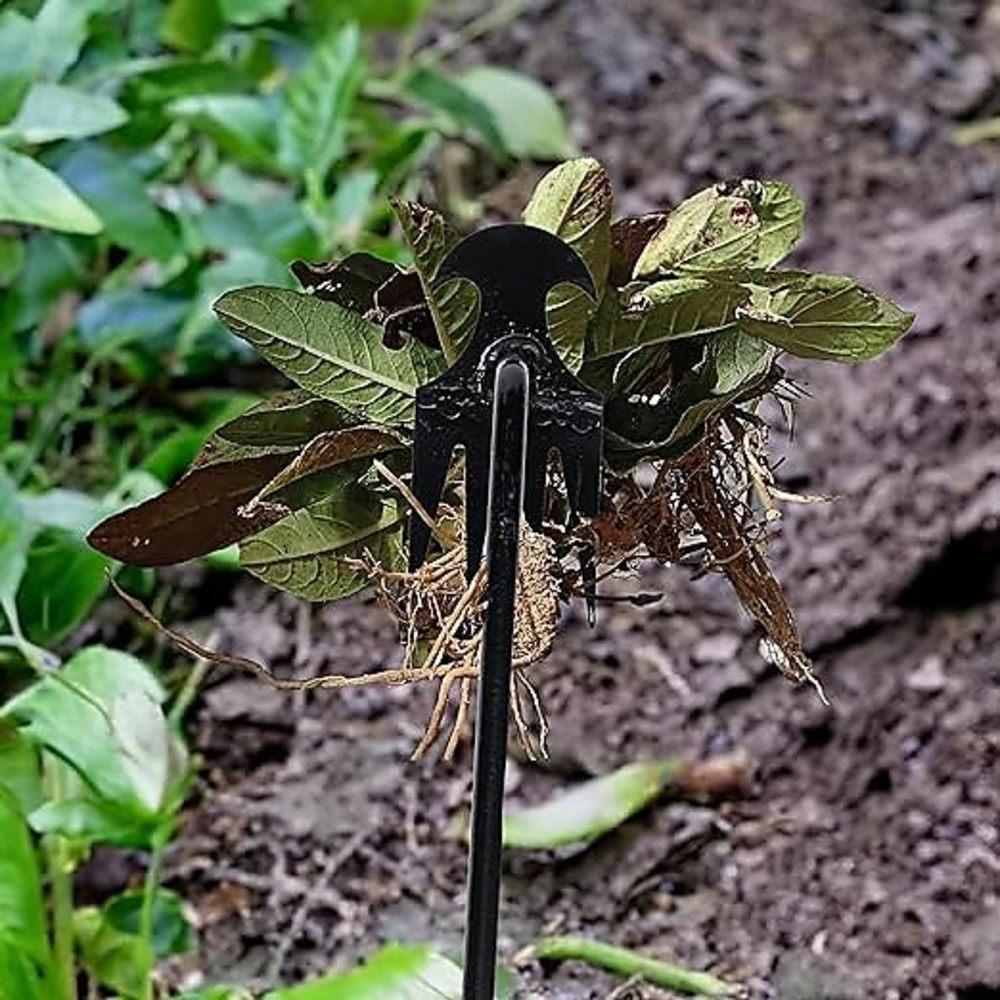 4개 치아 - 정원용 다기능 손 잡초 - 야채 원예 및 - Gardening Tools For Weeds 리뷰 및 가격