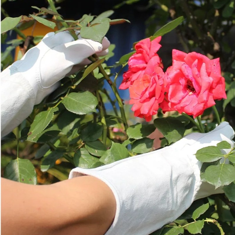 정원용 장갑 한 쌍, 가시 방지 방수 장갑, 장미 및  - Gardening Tools Gloves 리뷰 및 가격