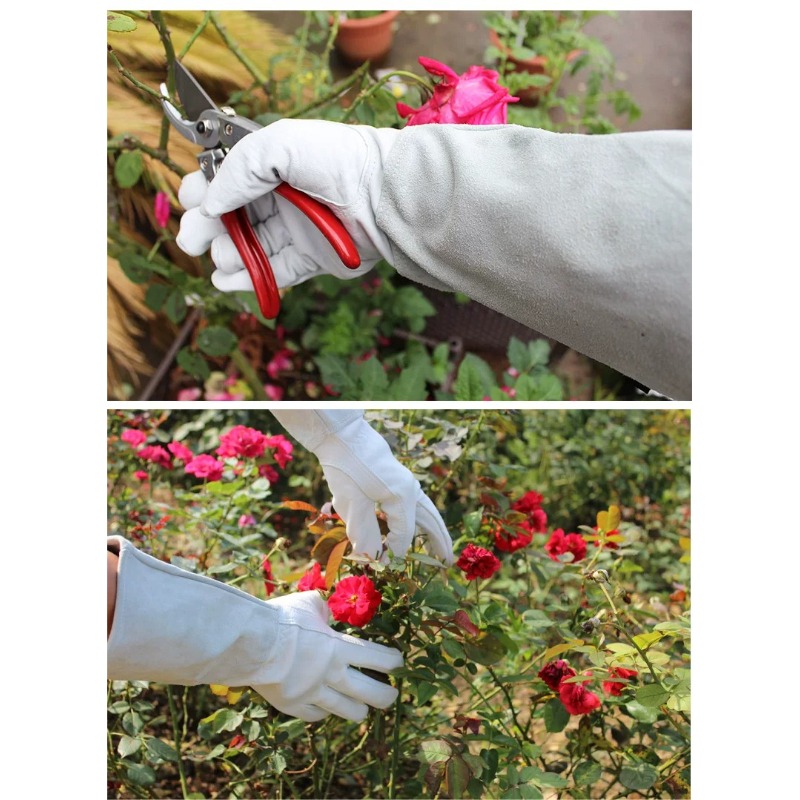 정원용 장갑 한 쌍, 가시 방지 방수 장갑, 장미 및  - Gardening Tools Gloves 리뷰 및 가격