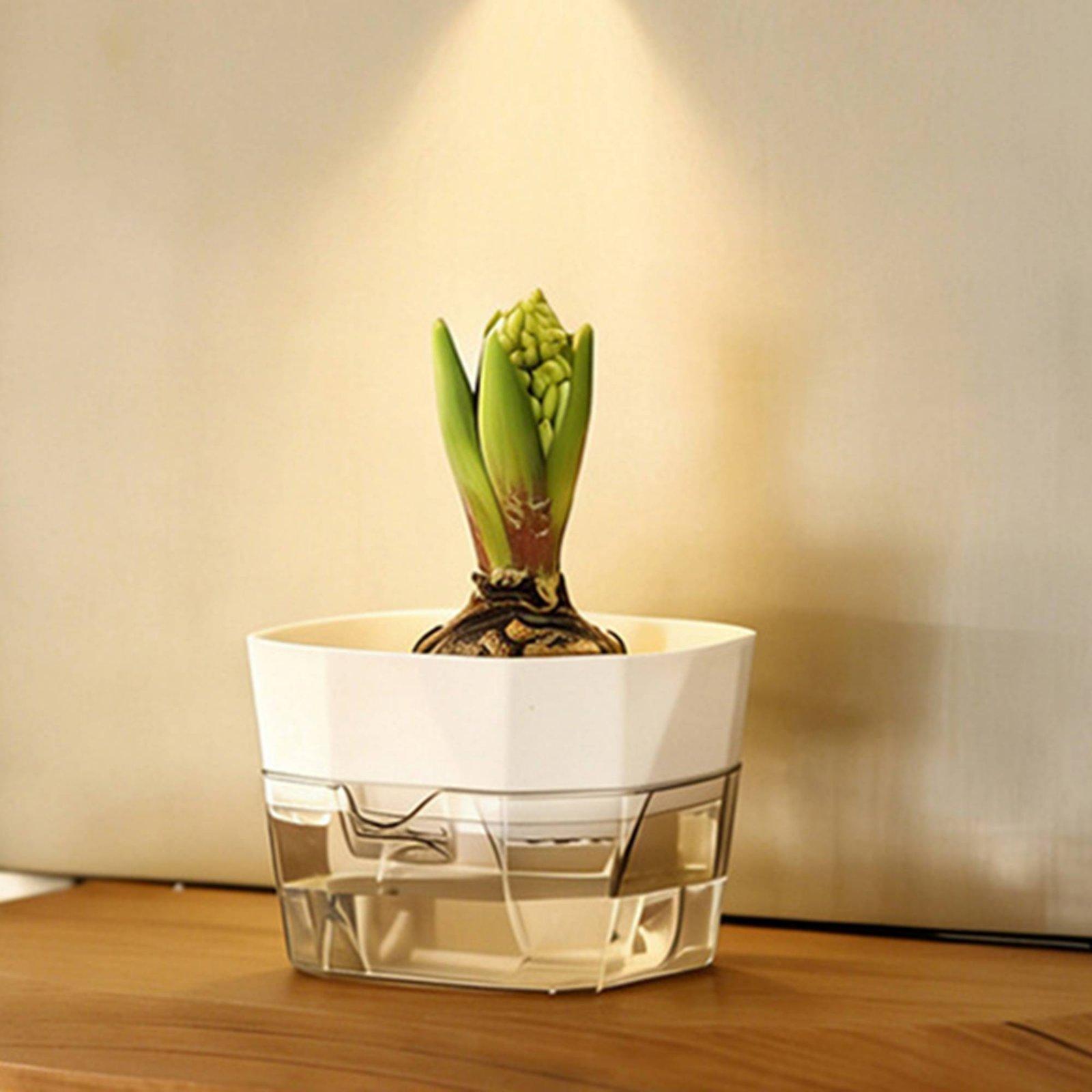 수경재배 화병 2단 자동 급수 화분 투명 PET 재질  - Self-Watering Planter 리뷰 및 가격