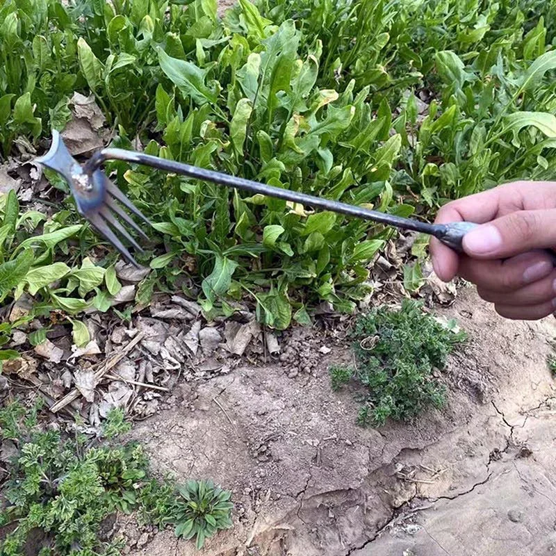 정원 제초기, 망간강 정원 제초기, 뿌리 빼기 및 흙  - Gardening Tools For Weeds 리뷰 및 가격
