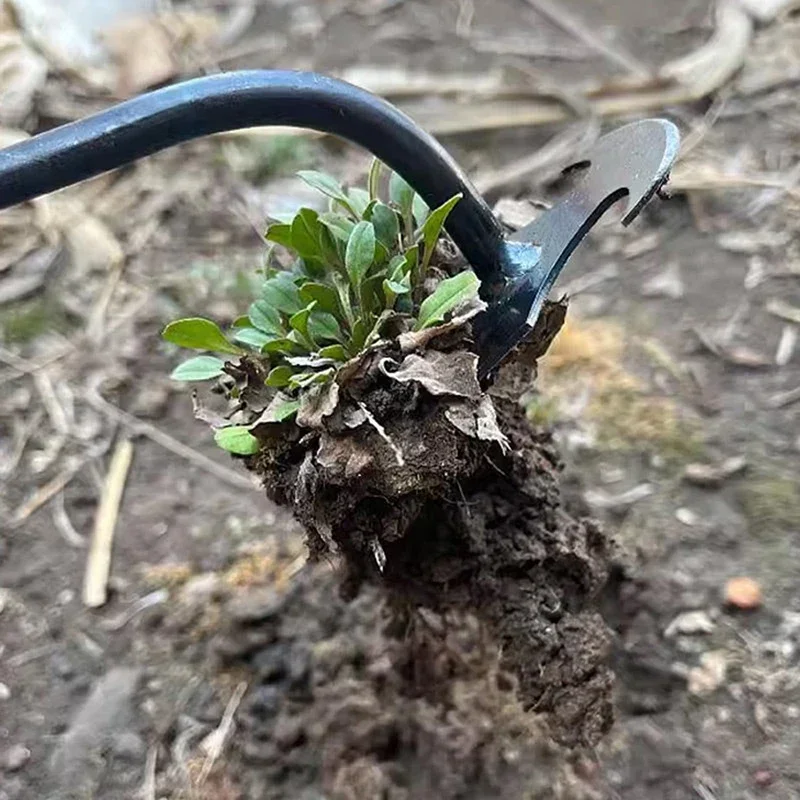 정원 제초기, 망간강 정원 제초기, 뿌리 빼기 및 흙  - Gardening Tools For Weeds 리뷰 및 가격