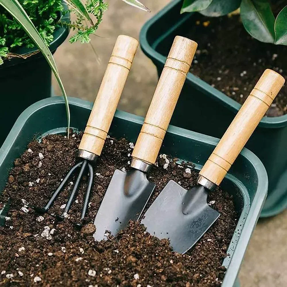 3개/세트 미니 정원 도구 세트 소형 실내 식물 관리용 - Gardening Tools For Weeds 리뷰 및 가격