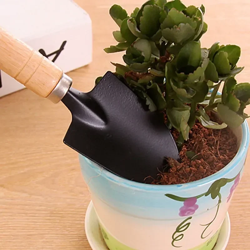 3개/세트 미니 정원 도구 세트 소형 실내 식물 관리용 - Gardening Tools For Weeds 리뷰 및 가격