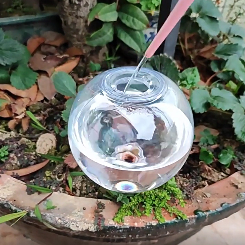 500ML 자동 급수 글로브 점적 관개 시스템 자동 급 - Self-Watering Planter 리뷰 및 가격