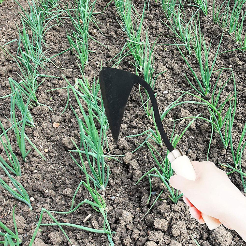 농기구 삼각형 줄괭이괭이 가정용 농업용 제초괭이 식물  - Gardening Tools For Weeds 리뷰 및 가격