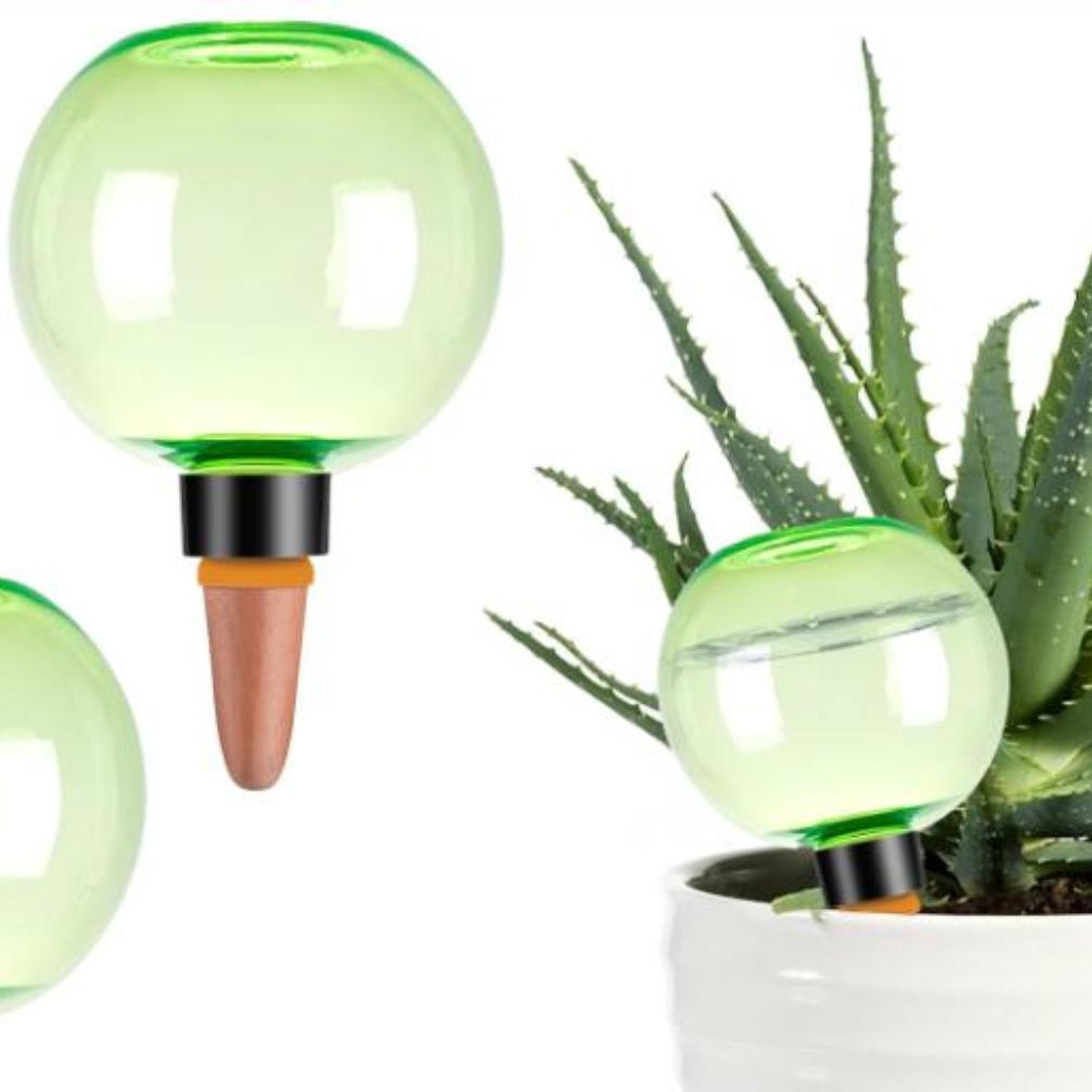3개 대형 식물 자동 급수 글로브 플라스틱 물병 자동  - Self-Watering Planter 리뷰 및 가격