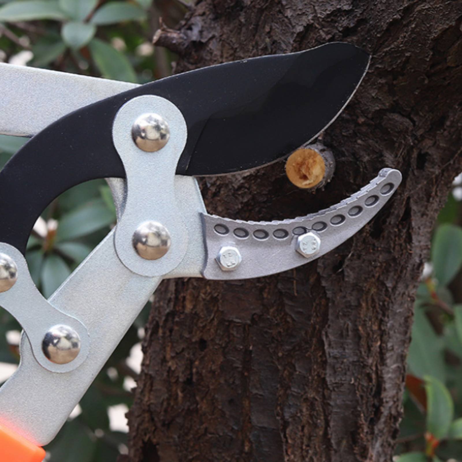 텔레스코픽 가지치기 가위 날카로운 칼날 튼튼한 트리 프 - Gardening Tool 리뷰 및 가격