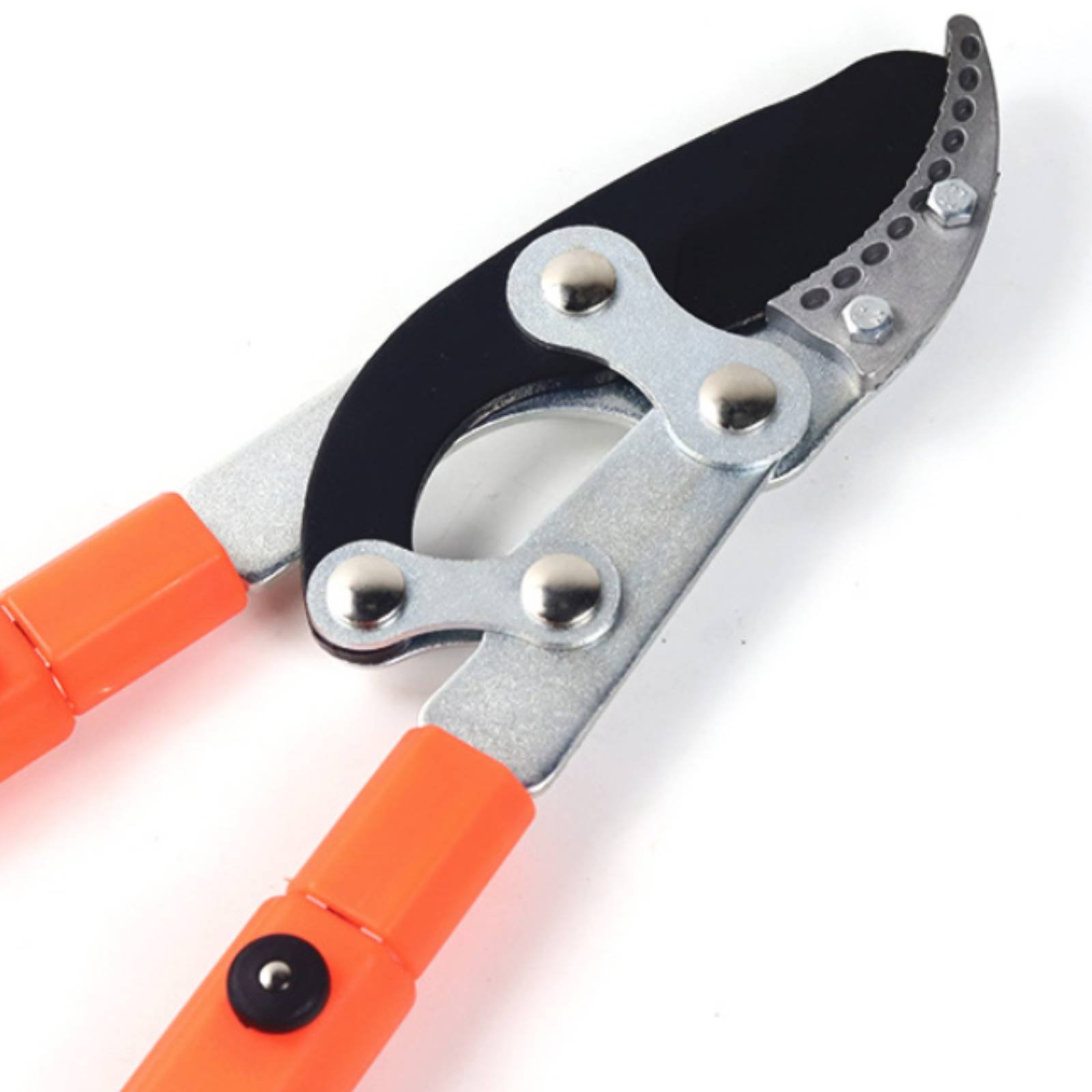 텔레스코픽 가지치기 가위 날카로운 칼날 튼튼한 트리 프 - Gardening Tool 리뷰 및 가격