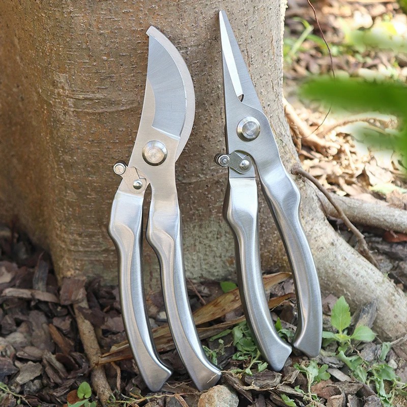 올스테인리스 스틸 전문 정원용 전지가위, 나무 가지 절 - Bonsai Tool Set 리뷰 및 가격