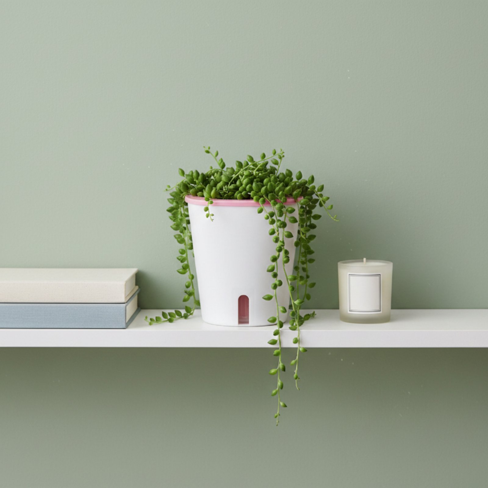 자동 급수 화분 대형 자동 급수 냄비 물 저장소 화분  - Self-Watering Planter 리뷰 및 가격