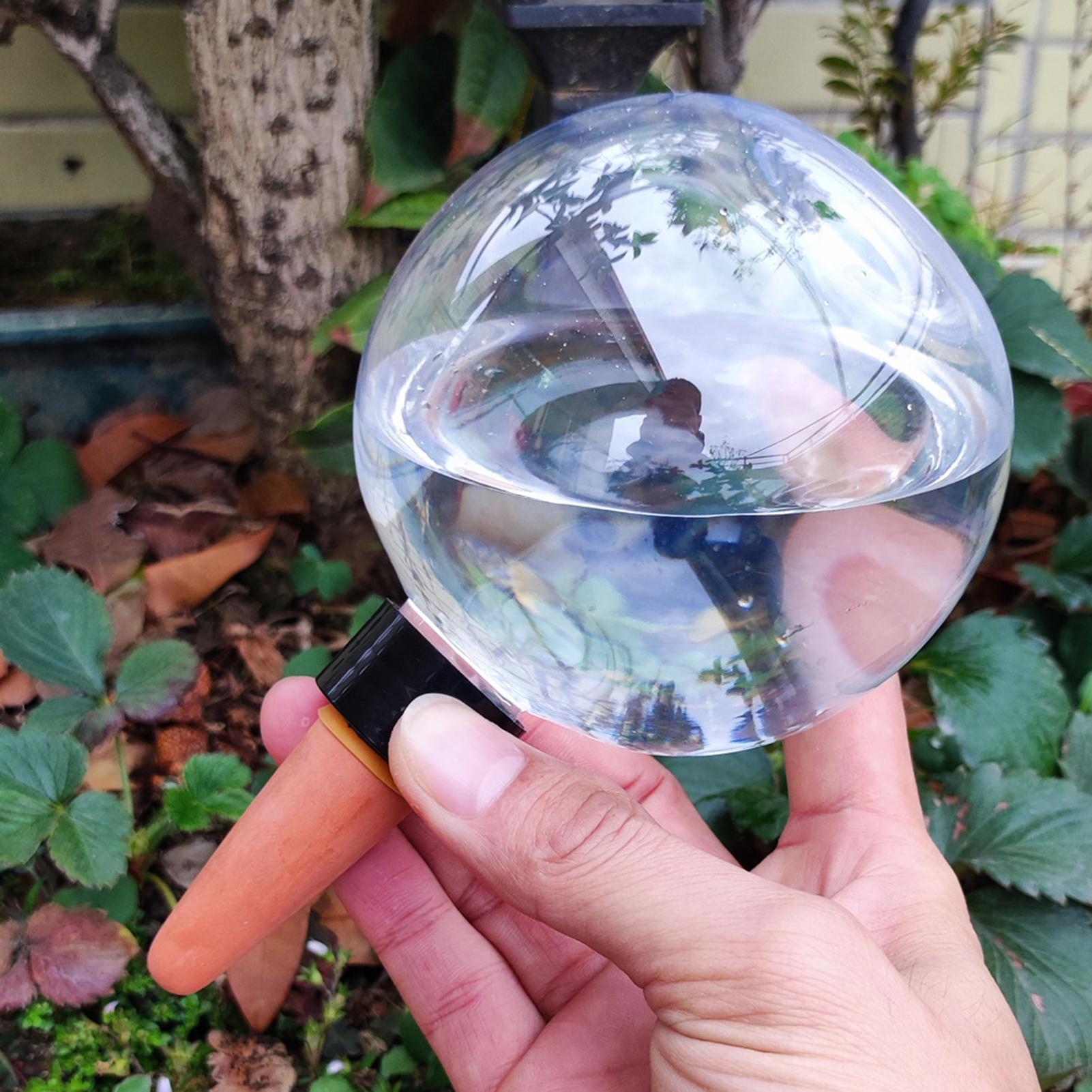 500ml 자동 식물 급수 구슬 유리 글로브 플랜터 삽 - Self-Watering Planter 리뷰 및 가격