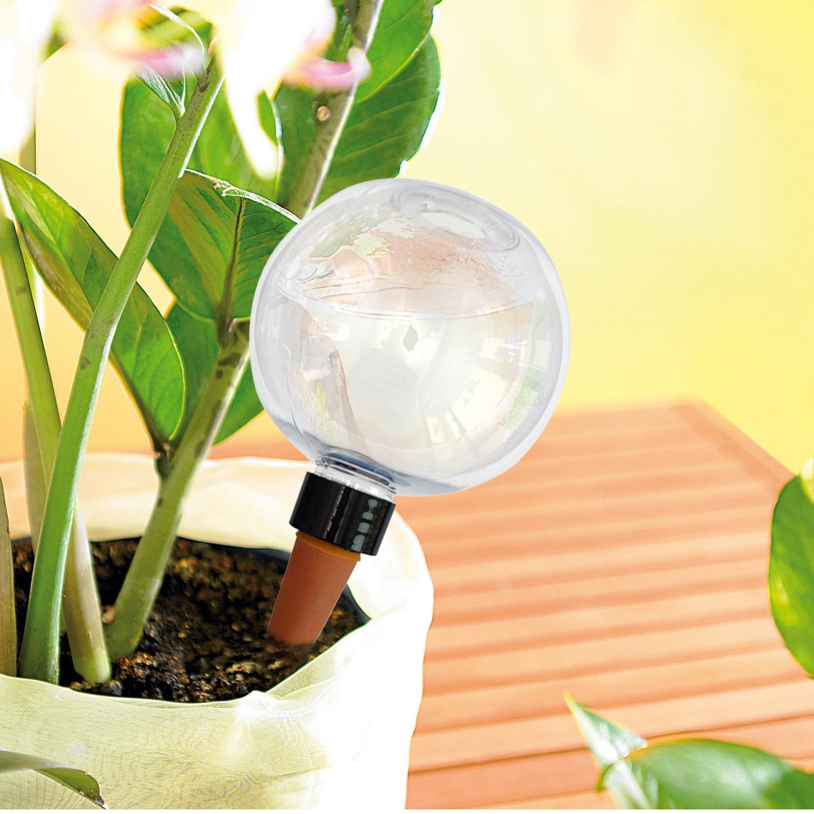 500ml 자동 식물 급수 구슬 유리 글로브 플랜터 삽 - Self-Watering Planter 리뷰 및 가격