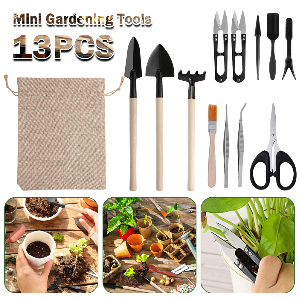 즙이 많은 식물 도구 미니 정원 손 도구 이식 야외 분 - Bonsai Tool Set 리뷰 및 가격