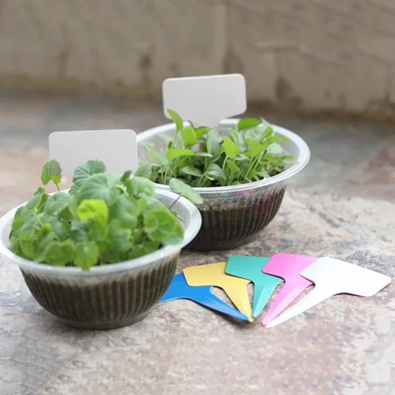 20 Pcs 플라스틱 방수 식물 이름 태그 스트립 라인 - Gardening Tools With Names 리뷰 및 가격